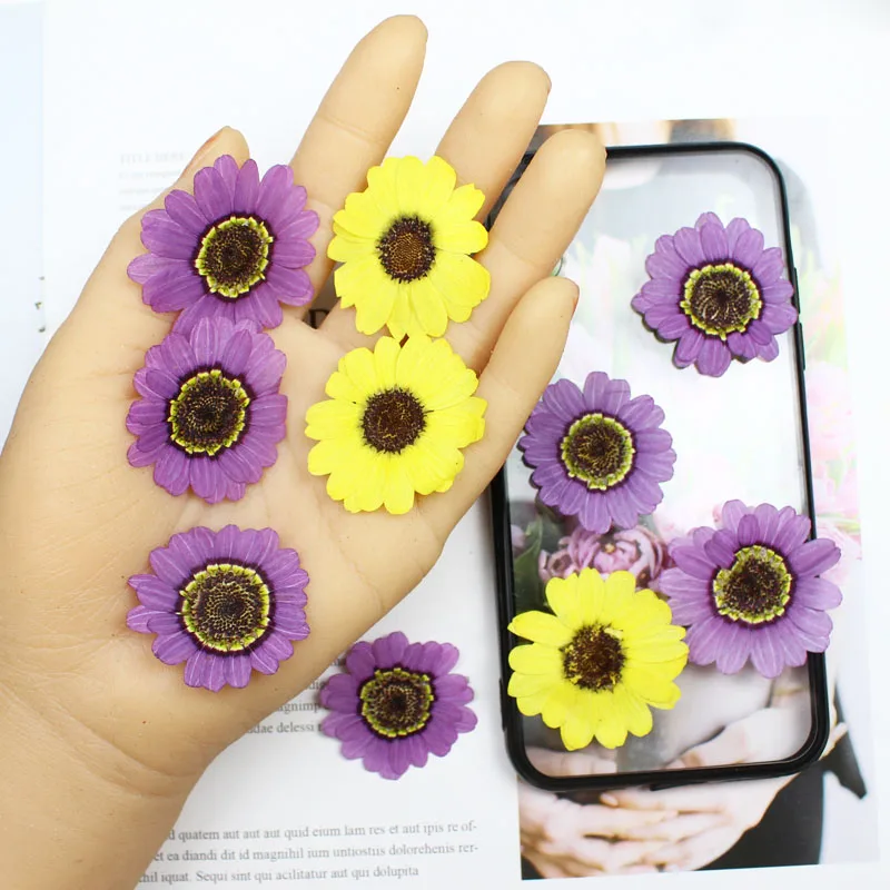 40 pièces pressées séchées 3-5 - Yellow Phone Accessories avis et prix